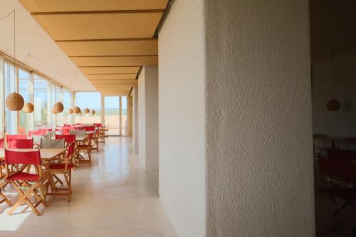 Diathonite Acoustix - AMEST, Palma de Mallorca, Spain