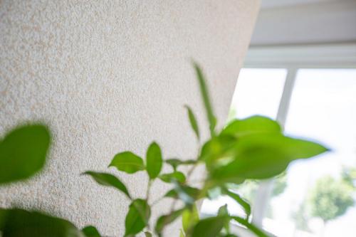 Decork Design